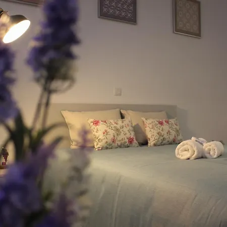 Charme E Alegria Guest house