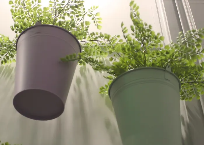 Charme E Alegria Guest house Viseu