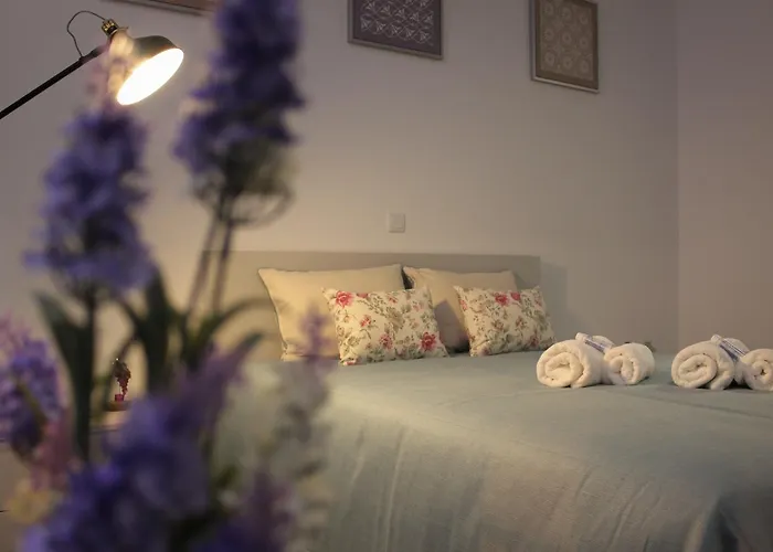 Charme E Alegria Guest house