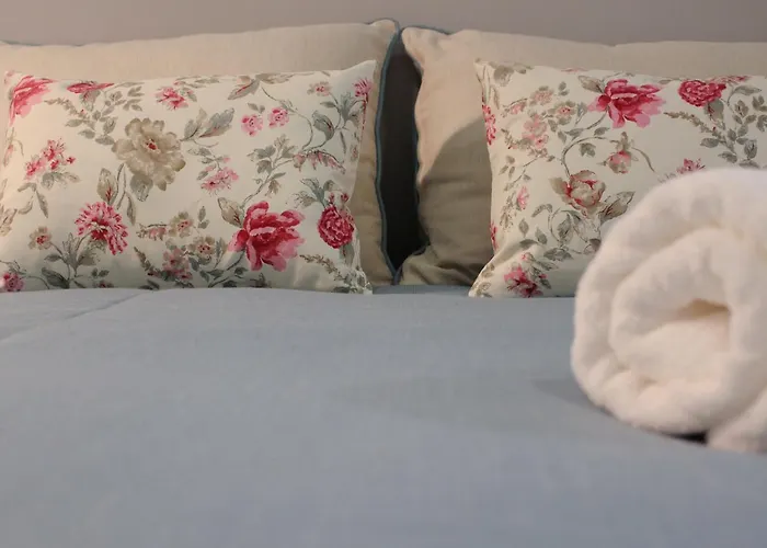 Charme E Alegria 게스트하우스 비세우